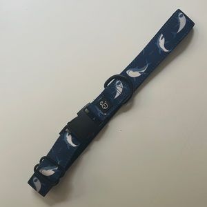 XL dog collar